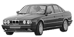 BMW E34 P040E Fault Code